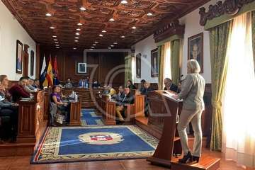 Lidia Blanco, presidenta de Adigran, leyó el manifiesto institucional sobre la diabetes en el Pleno de este jueves (Foto TA)